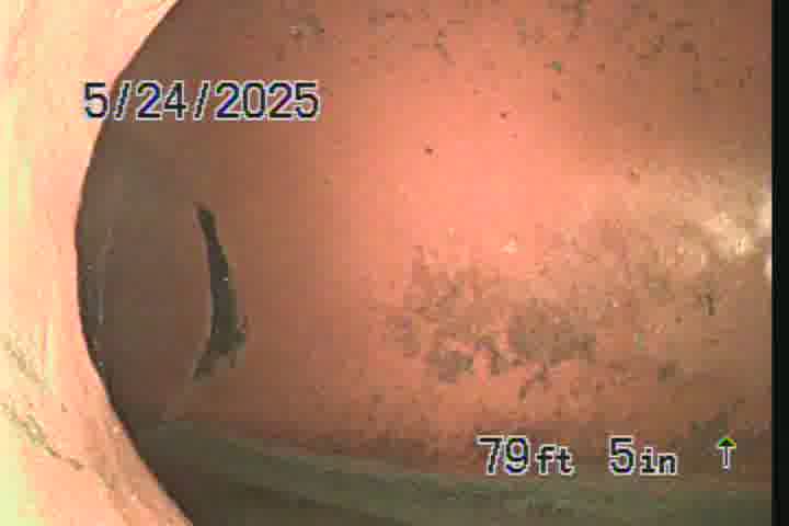 Frame
